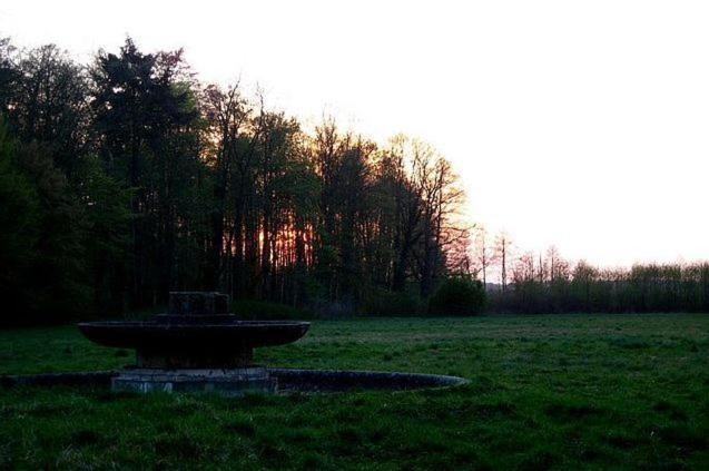 Palac Brody Buitenkant foto