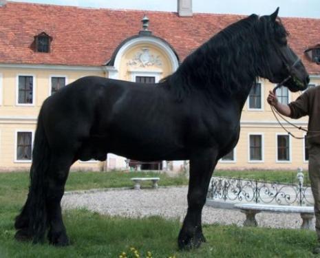 Palac Brody Buitenkant foto
