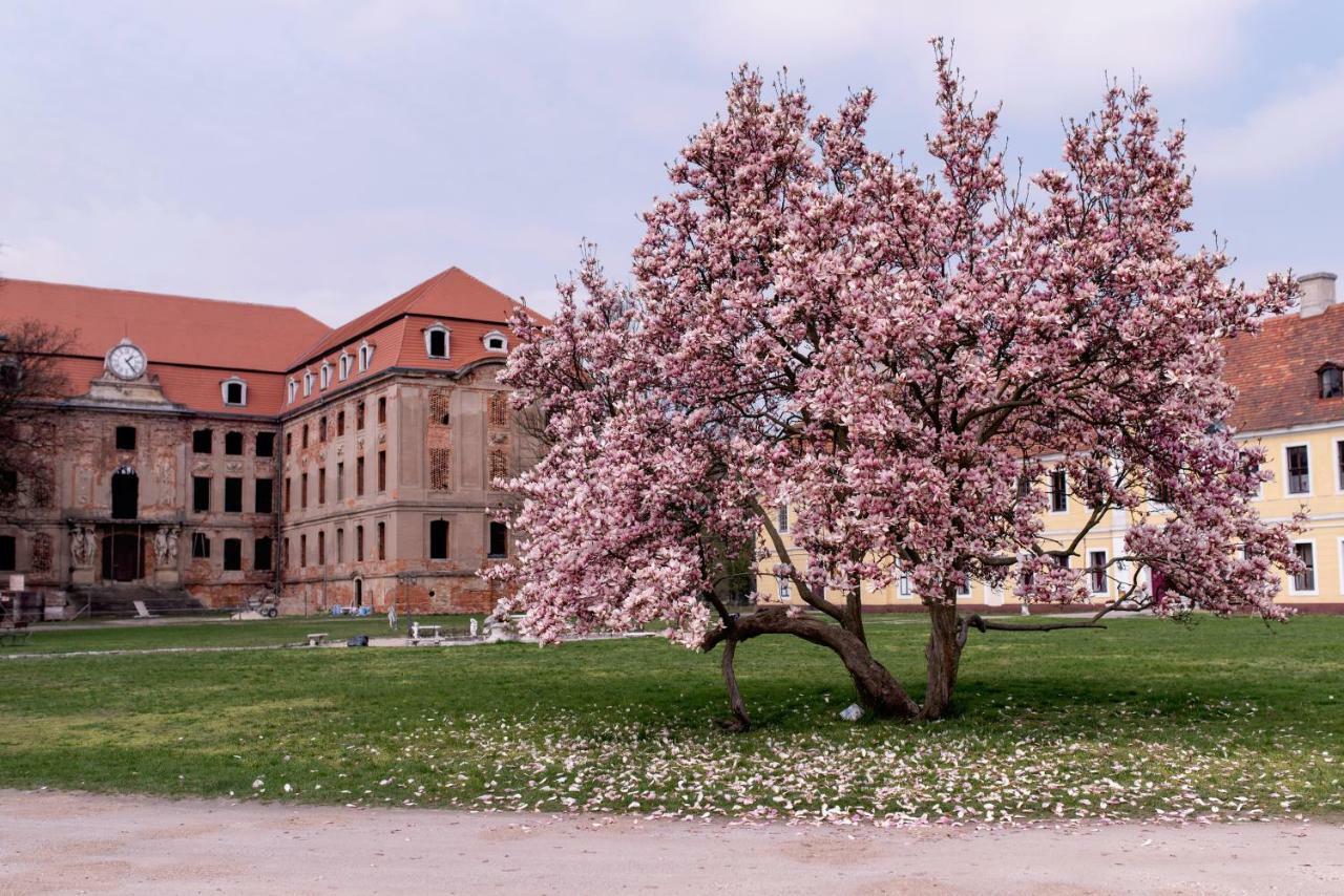 Palac Brody Buitenkant foto